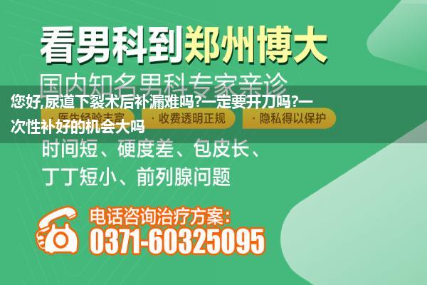 您好,尿道下裂术后补漏难吗?一定要开刀吗?一次性补好的机会大吗